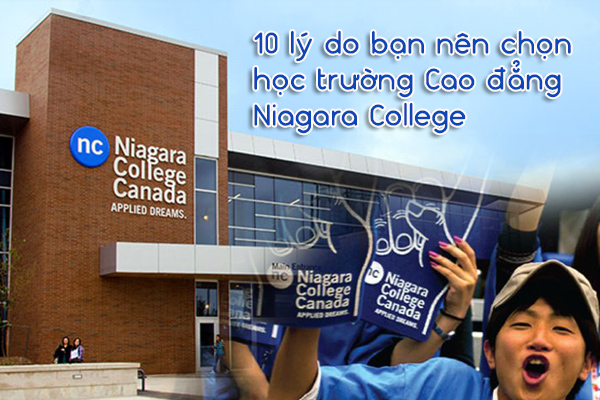 10 lý do bạn nên chọn học trường Cao đẳng Niagara College - Canada