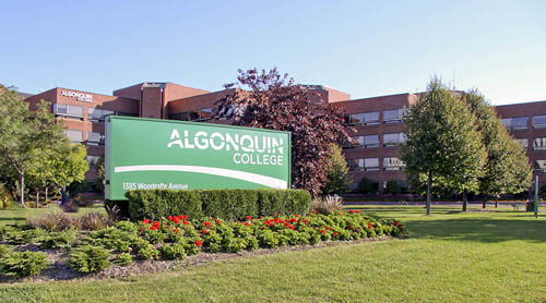 Trường Cao đẳng Alogonquin - Canada