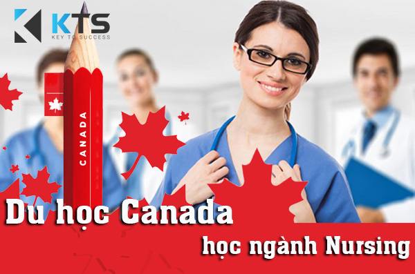 Du học Canada học ngành Điều dưỡng (Nursing)